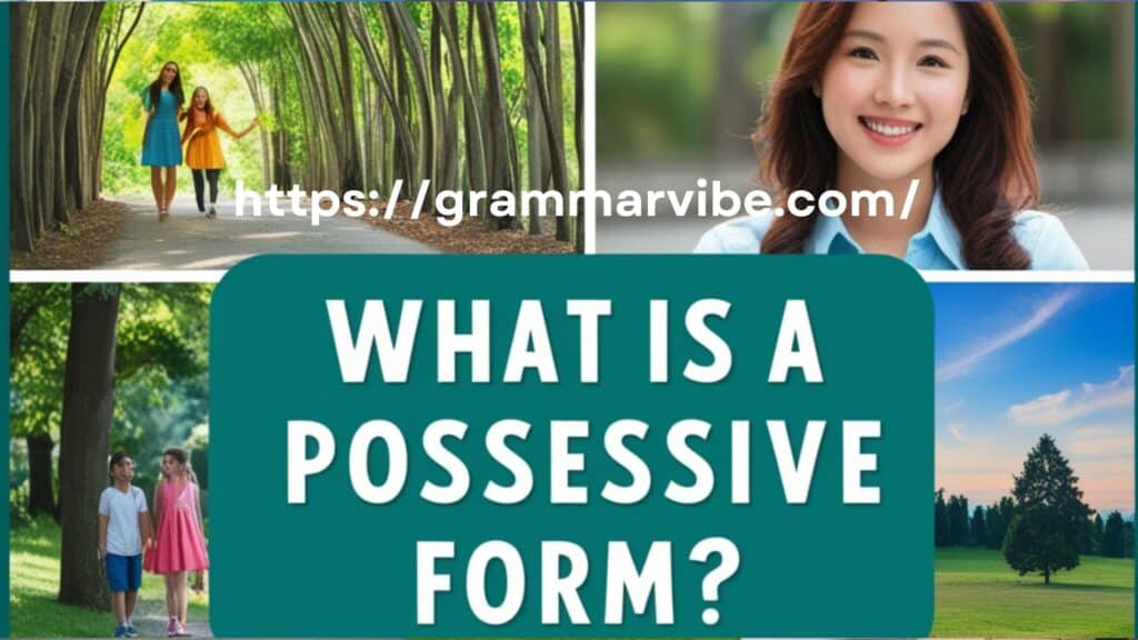 What Is a Possessive Form?