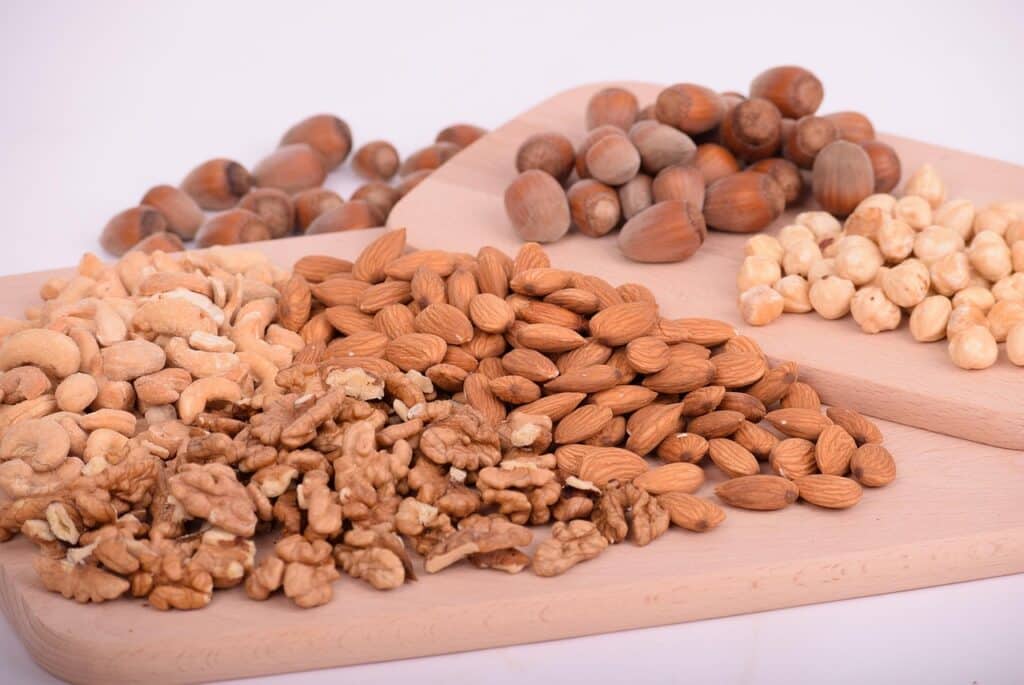 The Best Plant-Based Proteins for a Healthy Diet