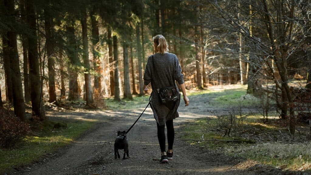 Is Walking Enough? The Underrated Power of Steps