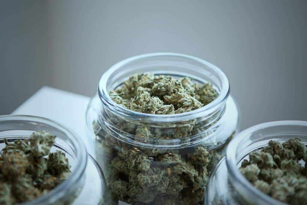 The Ultimate Guide to Finding the Right Weed Dispensary