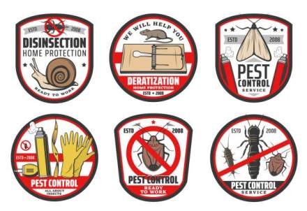 5 Critical Reasons You Need Emergency Pest Control